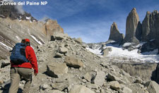 Chile-Patagonia / Torres del Paine-Patagonia deluxe Wildlife Safari